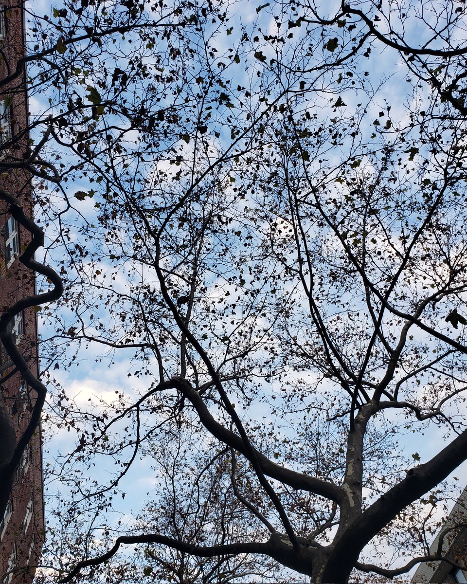 4YourEyes2Eat's tweet photo. Look Up - 04
------------------------------
FOR YOUR EYES TO EAT

For more click the link in our bio or visit: https://t.co/UCru2jCAzg

#Zine #Photography #NY1Pic #NYC https://t.co/EB8n6a0x3g