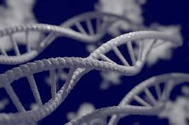AngelCharrette's tweet photo. Register now Cell and Gene therapy Conference scheduled on June 27-28,2022 #London #UK   #GeneTherapy #CellTherapy #Cancercells #Biomarkers #genetics #Cellscience #Celldamage #epigenetics #agriculture #Biology #Nanotechnology 
URL:https://t.co/X3rw6Fq7B3
+443308187921 https://t.co/Y5lSMXMfMm