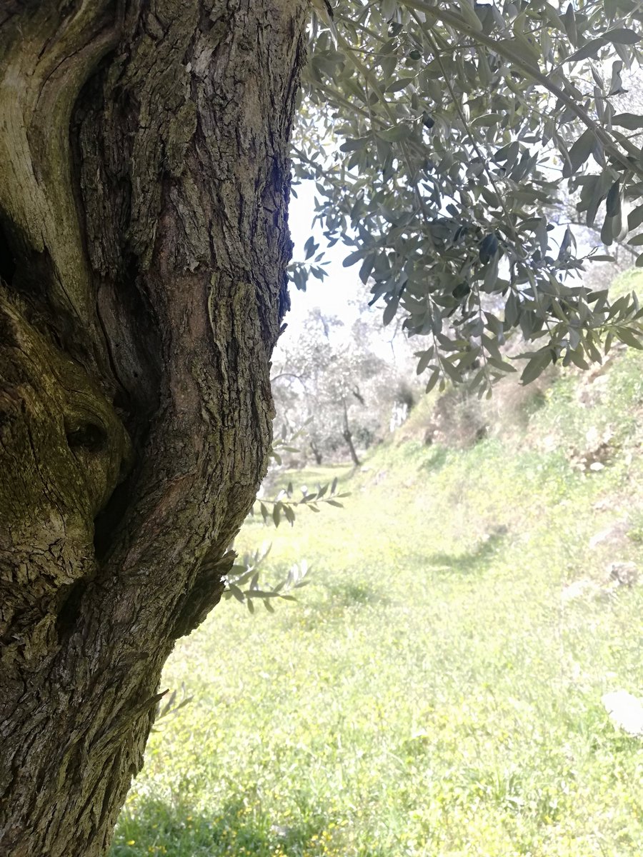 Gün her zaman ayarr😊❗
🌄

GÜNAYDIN