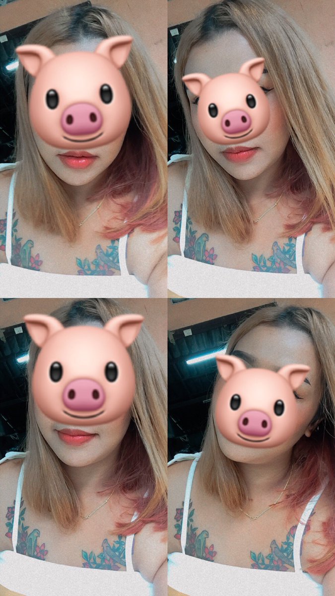 🐷💦ภาคใต้ tweet media