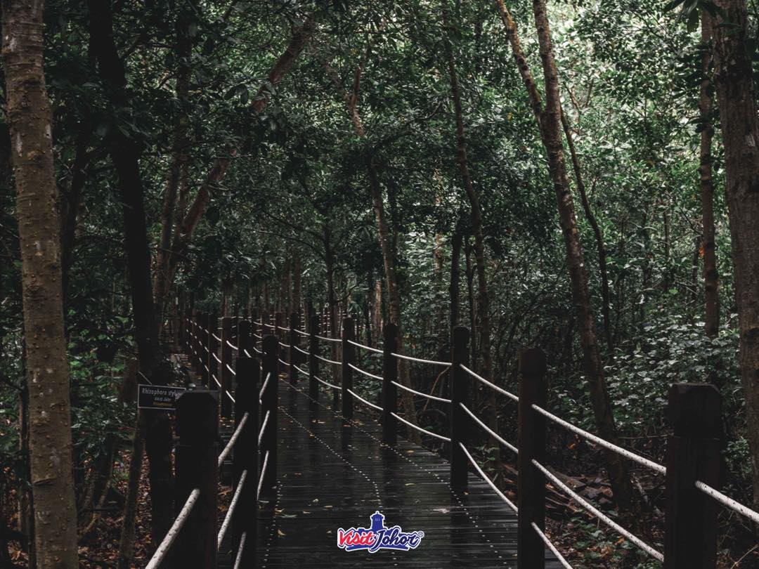 Nak menikmati alam semula jadi, tapi tak tahu nak pergi mana? Meh sini Min share port nature yang best dekat Johor untuk  tenangkan fikiran &amp; hirup udara segar 🏞

1. Pantai Mawar Mersing
2. Pantai Penyabong, Mersing
3. Gunung Lambak, Kluang
4. Taman Negara Tanjung Piai, Pontian