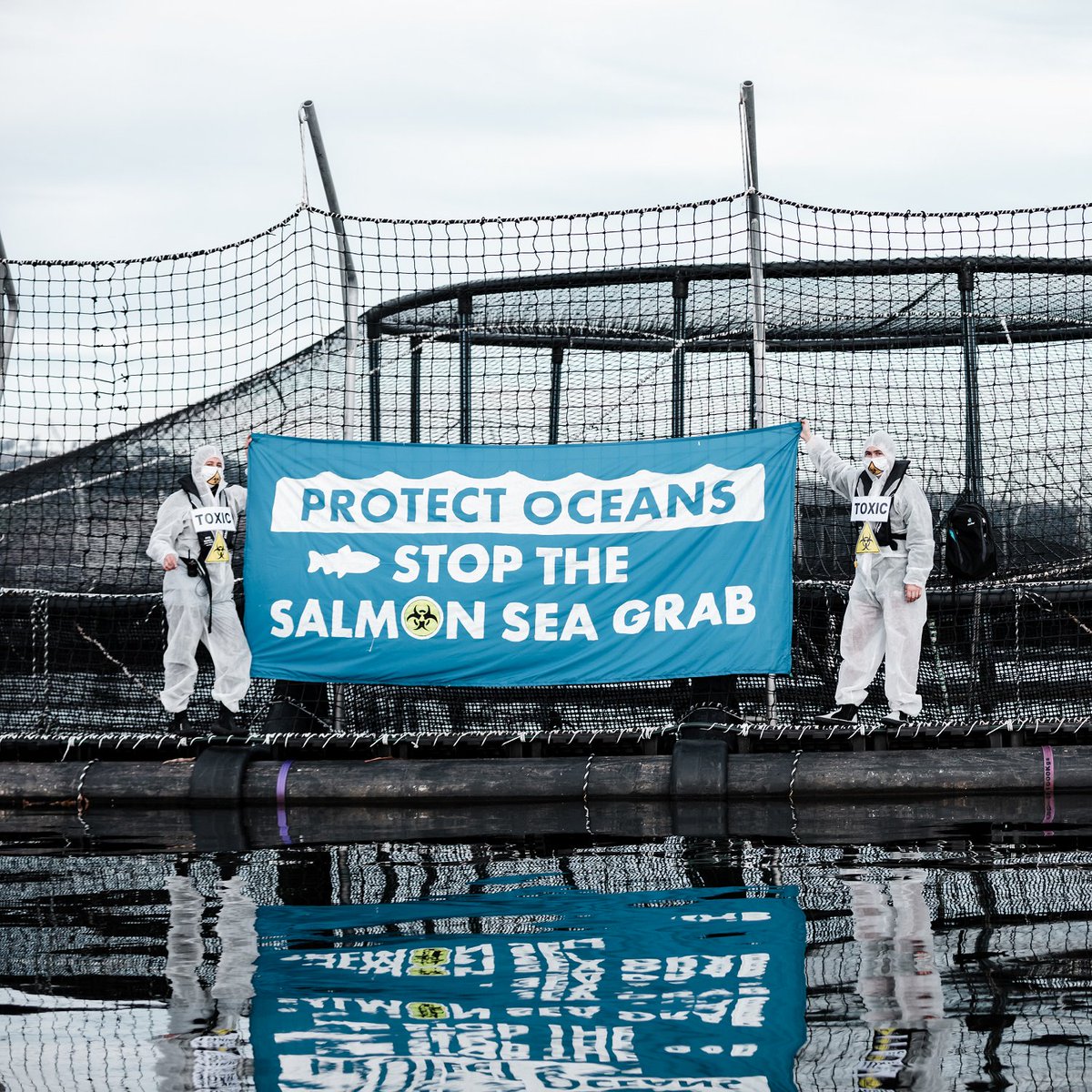 BobBrownFndn's tweet photo. First Time Protest on Tasmanian Salmon Factory Farm. It won't be the last.  We have witnessed how appalling these salmon factory pens are. Everyone should be exposed to the horror.  They are truly the battery hen farms of the sea. #politas #voteenvironment https://t.co/RB6bzoyC47 https://t.co/W2QgvWOEes