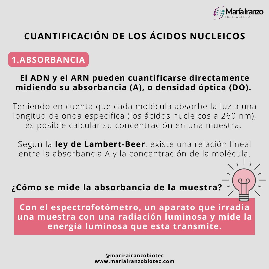 MariaIranzoBio's tweet photo. ¡NUEVO POST! Obtener el #ADN (o #ARN) de una muestra es útil para analizar la #ExpresiónGénica, determinar #EnfermedadesHereditarias, analizar #Mutaciones. 
Pero, ¿es suficiente con la extracción? ¡NO!... ¡Se debe comprobar su integridad y concentración! 
https://t.co/E4nkubFcmL https://t.co/sQULhaKQdw