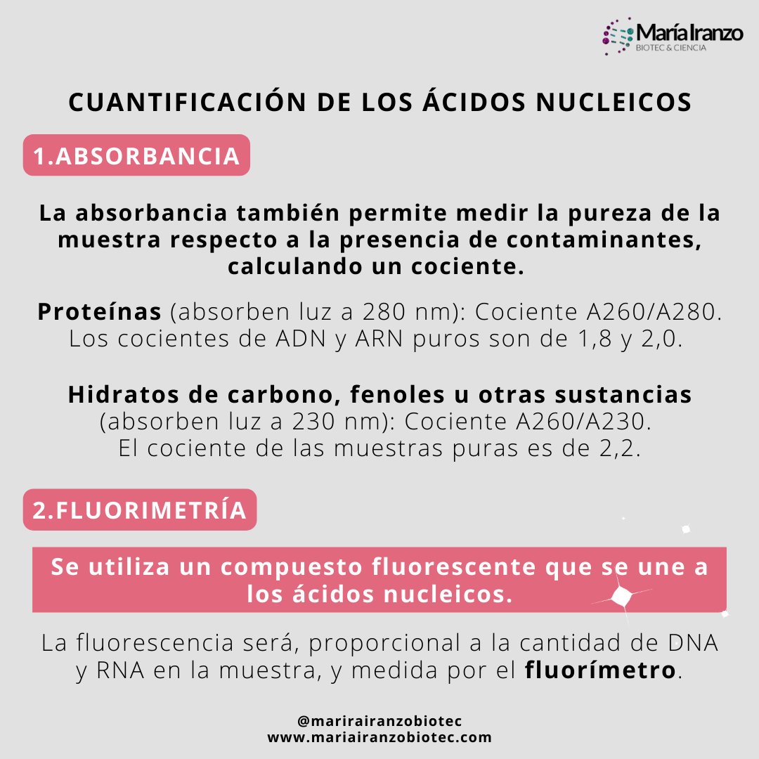 MariaIranzoBio's tweet photo. ¡NUEVO POST! Obtener el #ADN (o #ARN) de una muestra es útil para analizar la #ExpresiónGénica, determinar #EnfermedadesHereditarias, analizar #Mutaciones. 
Pero, ¿es suficiente con la extracción? ¡NO!... ¡Se debe comprobar su integridad y concentración! 
https://t.co/E4nkubFcmL https://t.co/sQULhaKQdw