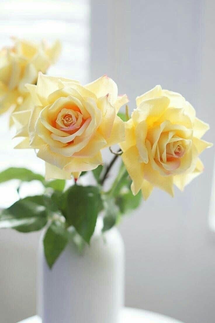 blh04472134's tweet photo. @hasanjawadd https://t.co/ly2sbu4QPp