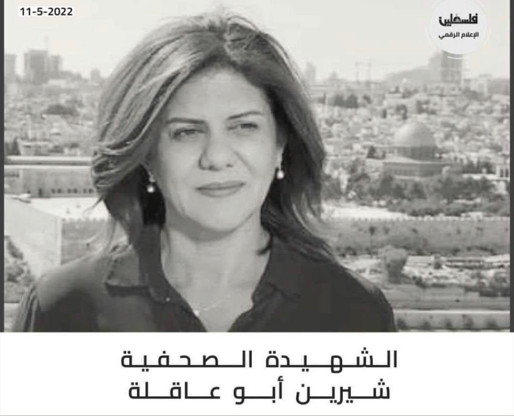 Salma Nims | سلمى النمس tweet media
