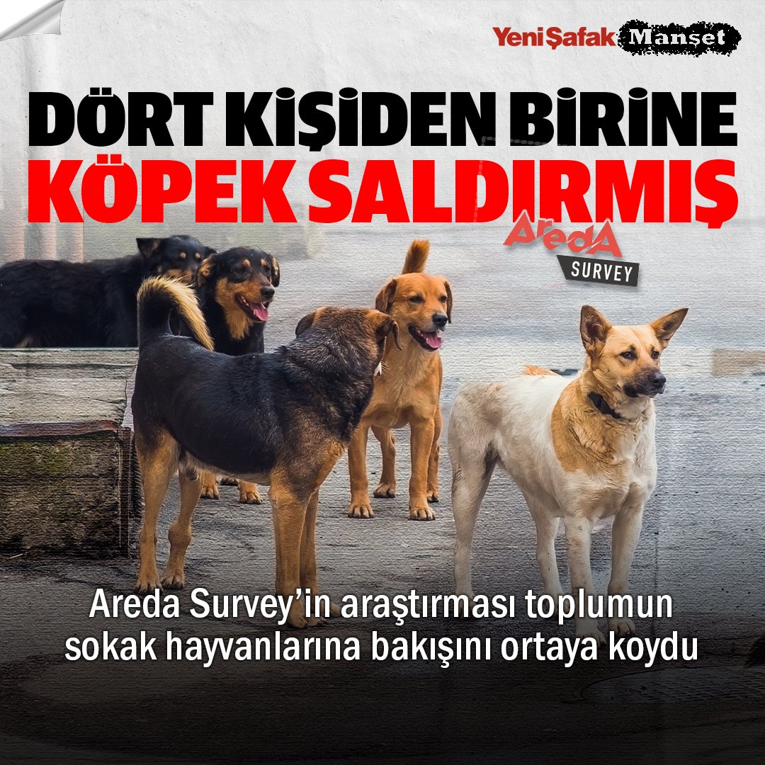 yenisafak's tweet photo. Areda Survey’in, 'Sokak hayvanlarınca siz veya bir yakınınız saldırıya uğradı mı?’ sorusuna yüzde 33,9’luk dilim, ‘evet’ dedi. Kendisinin saldırıya uğradığını söyleyenler ise yüzde 24,4’ü buldu.