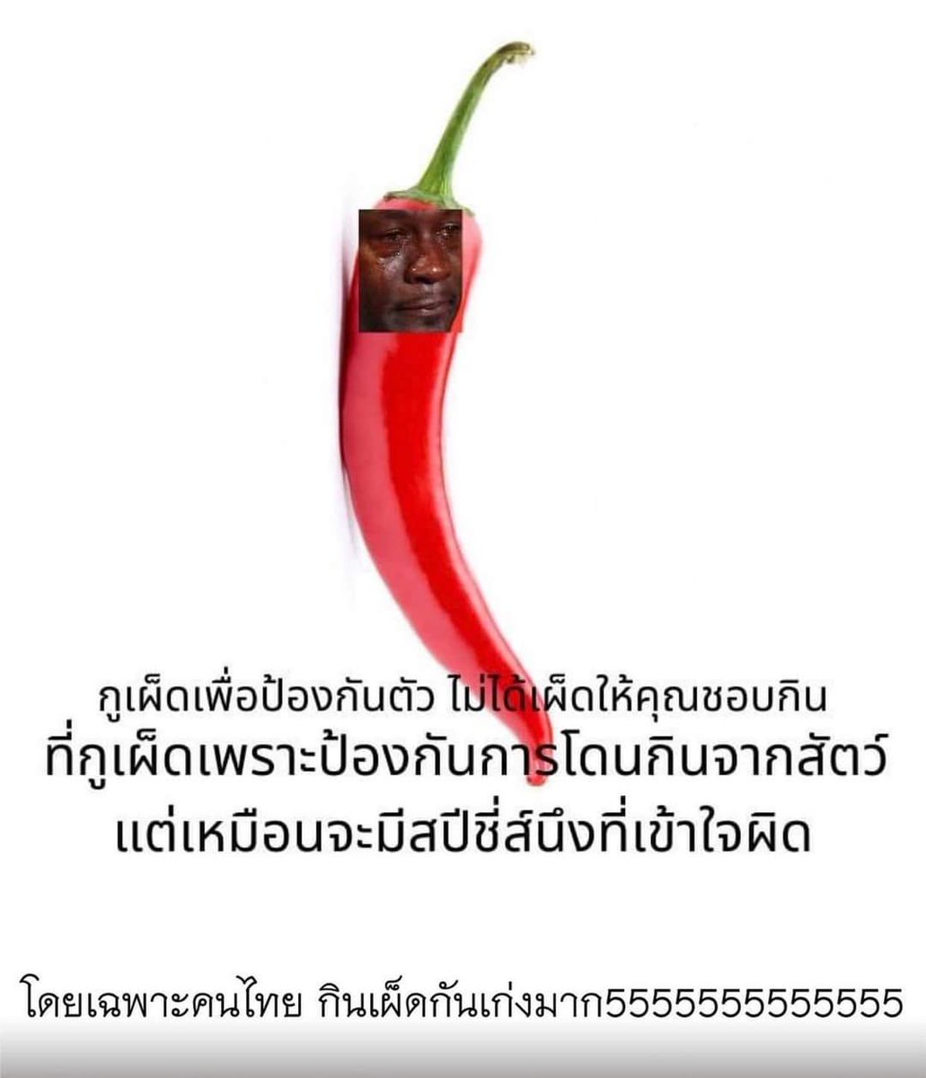 ชลน แมวส้มแท้ๆ 🐱 tweet media