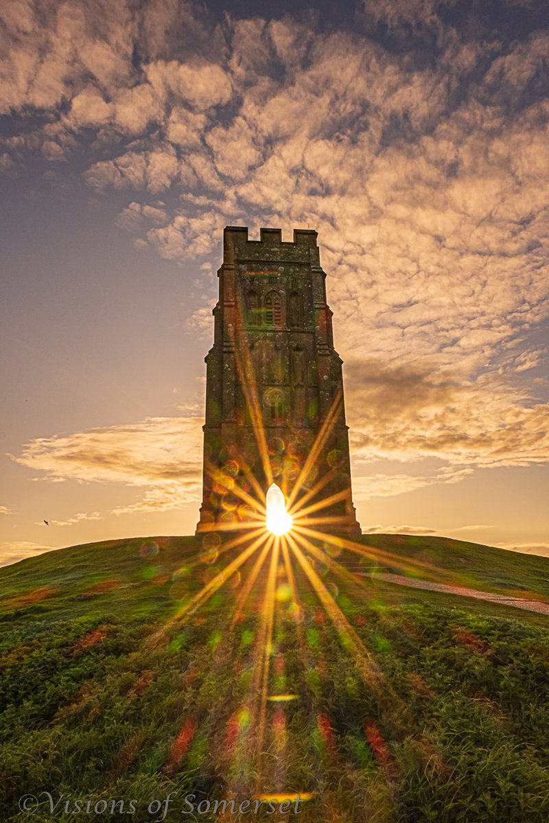 Michelle Cowbourne tweet media