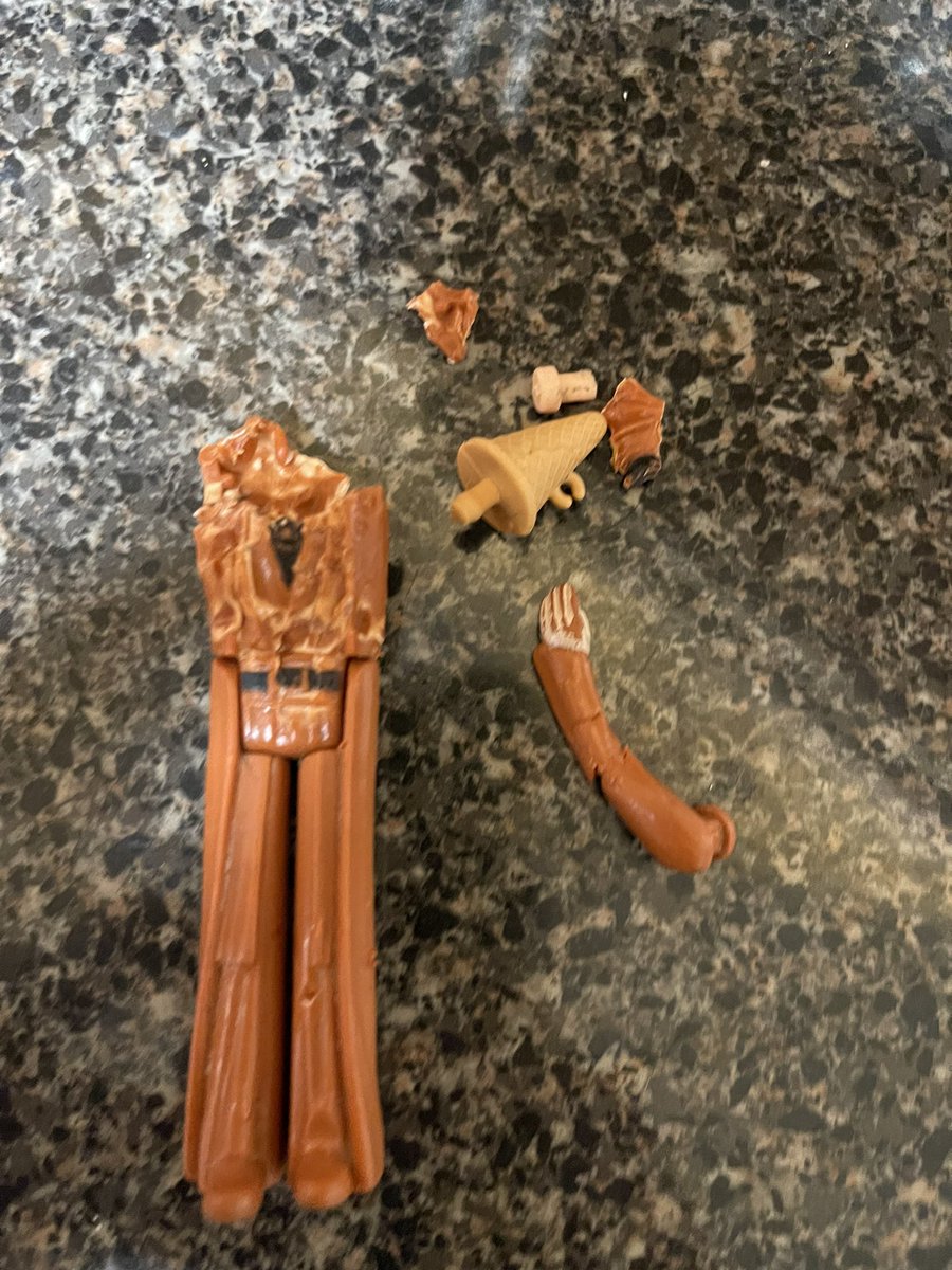 mstangbrat's tweet photo. This is what happens when your GranPuppy gets a hold of your 45 year old #Obiwan Grammy is not happy! https://t.co/Eo68NfVgWw