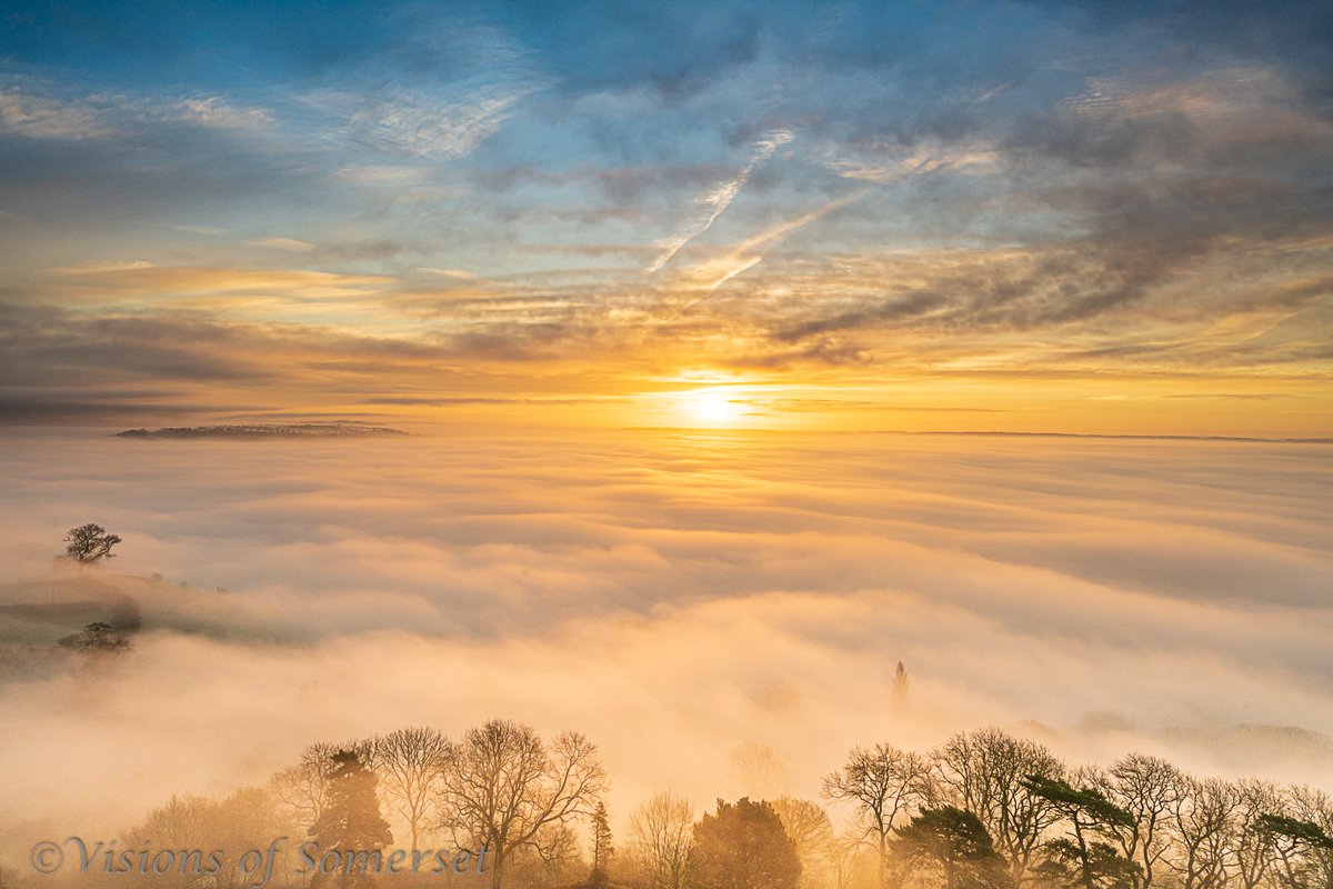 Michelle Cowbourne tweet media