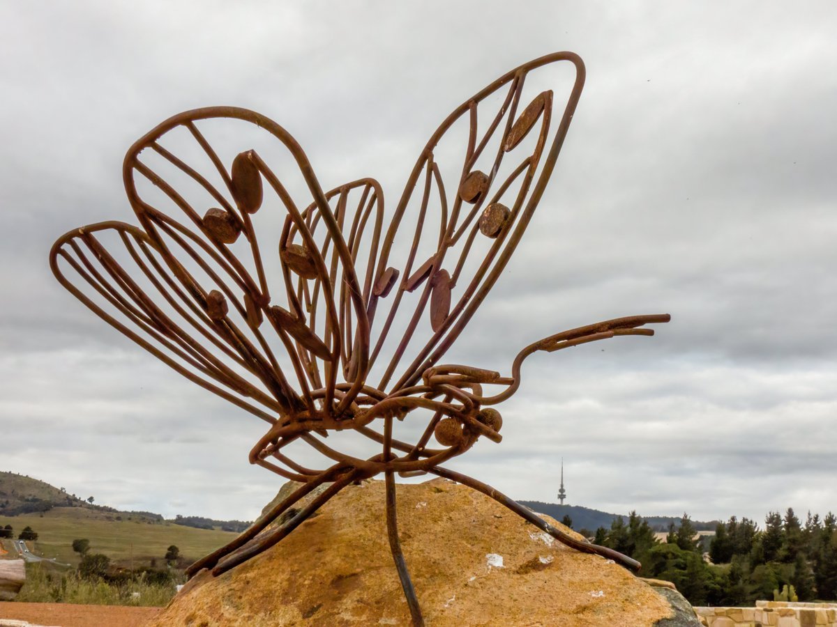 c_mperman's tweet photo. #CanberraWalks on Monday was to the newly opened Namerag Reserve in the Molonglo valley. Already very interesting, this will only improve as the plantings mature. Great art installations, children's playground and strong links to indigenous people and to Country. https://t.co/cnbnR2ABoz
