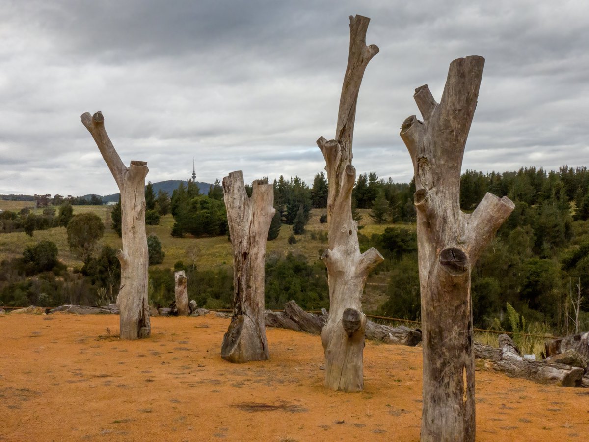 c_mperman's tweet photo. #CanberraWalks on Monday was to the newly opened Namerag Reserve in the Molonglo valley. Already very interesting, this will only improve as the plantings mature. Great art installations, children's playground and strong links to indigenous people and to Country. https://t.co/cnbnR2ABoz