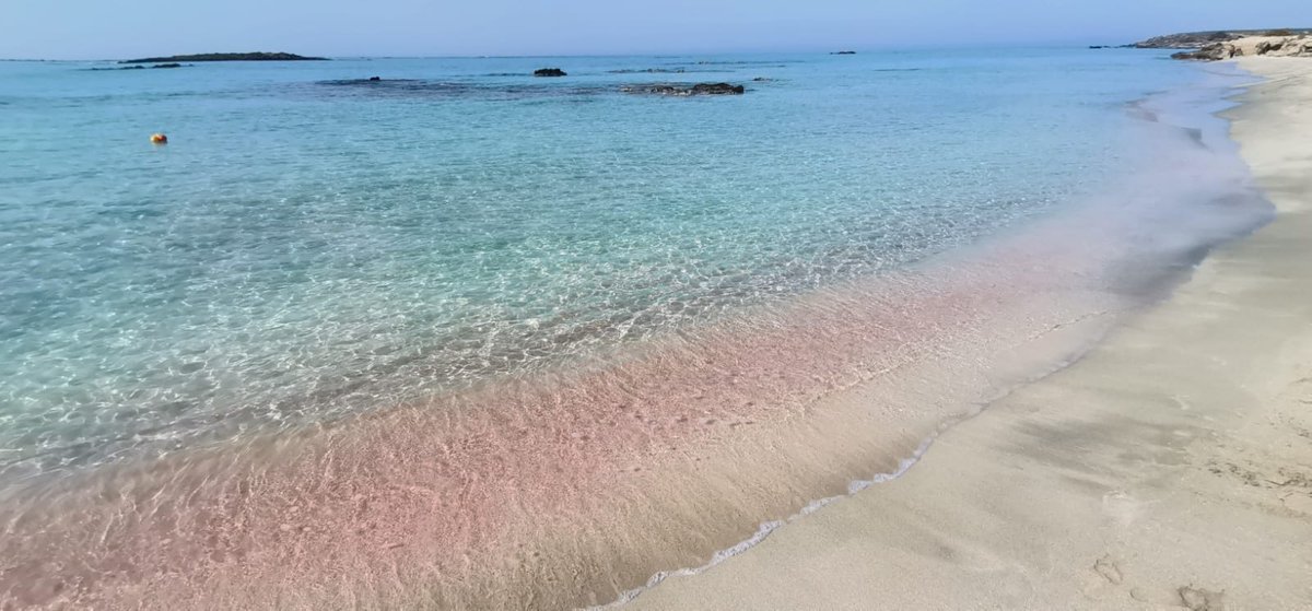MagdalenaSzomb1's tweet photo. Another beautiful day ☀️😊
#Elafonisibeach #pinkbeach #beach #Crete #Greece https://t.co/Pc9K0siahG