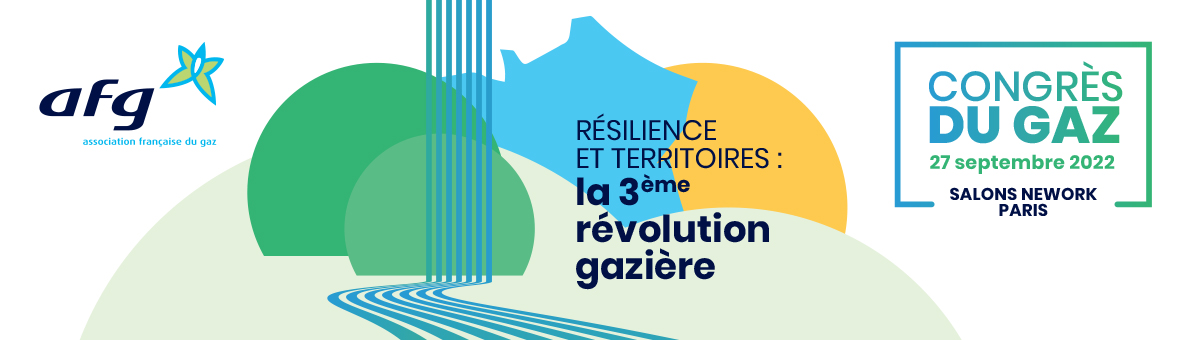 France gaz tweet media