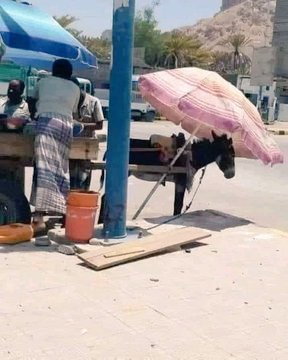 DrAbdullahPak's tweet photo. انسانیت کی کتاب کا پہلا حرف احساس اور رحم دلی . https://t.co/u4FuVbagXT