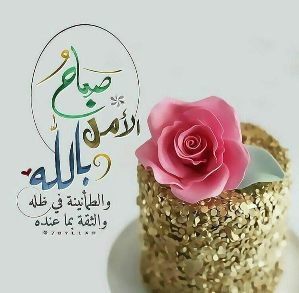 🎀💜💜Huda💜Dodo💜💜🎀 tweet media