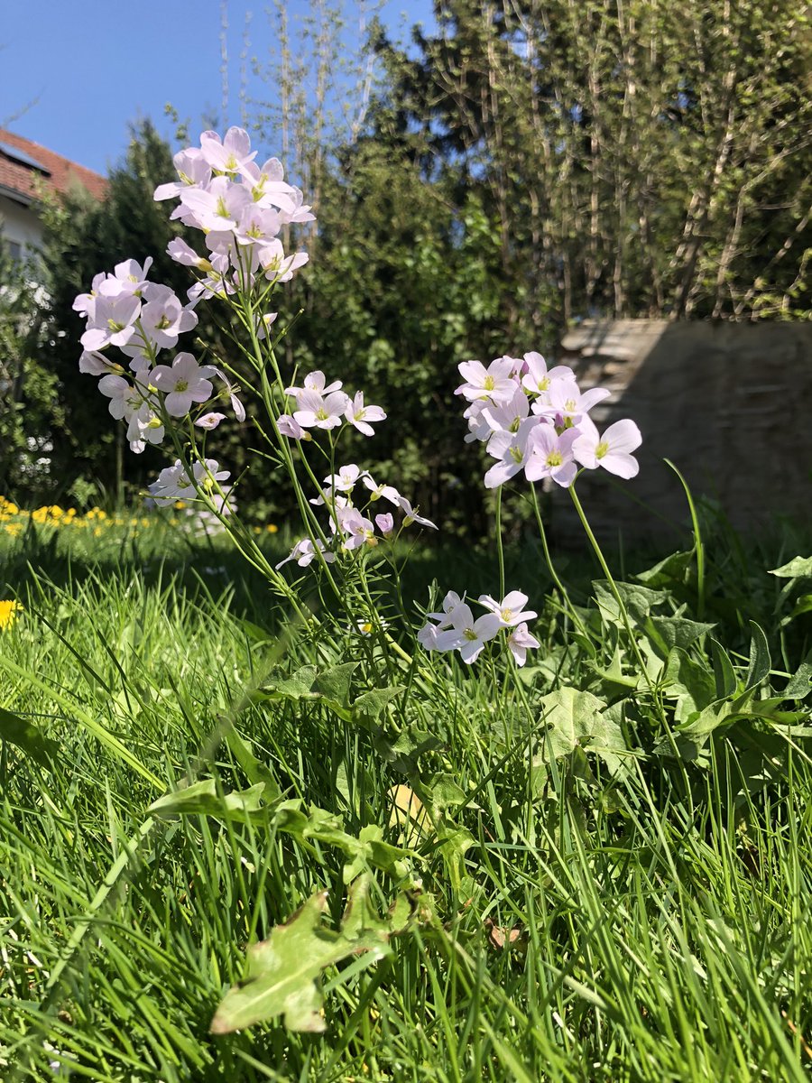 Umursama dünya Gelse üstüne
İçinde büyüyen bir ahın  olsun.
Elbet bir gün devran döner tersine
Tahammül en büyük silahın olsun.
   
                                  MEVLANA 

Umudunuzun her daim olması dileğiyle.. 
#GÜNAYDINLAR ☕️🌿✌️

#HayırlıSabahlar