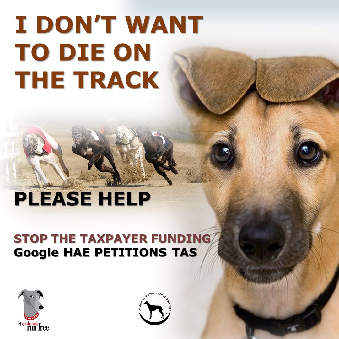 Coalition for the Protection of Greyhounds tweet media