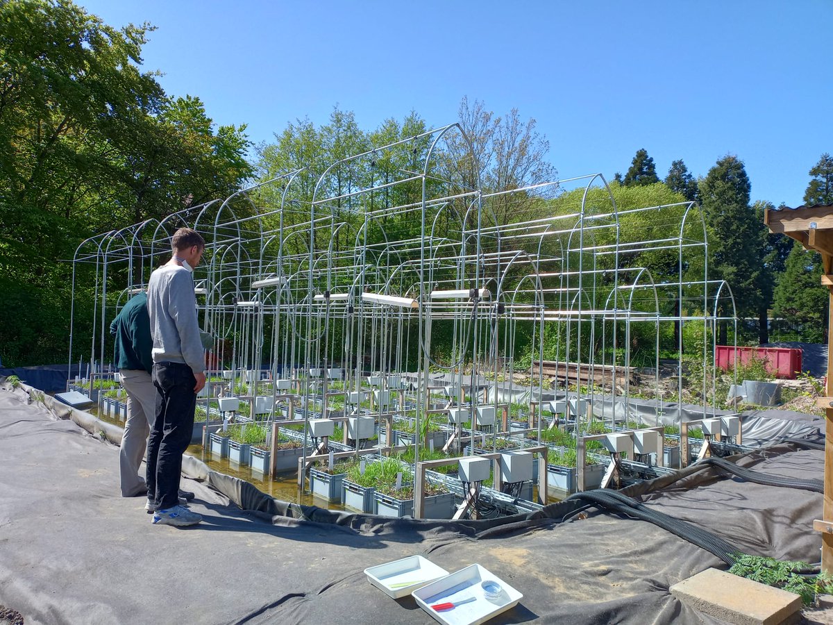 NordSalt's tweet photo. The #NordSalt team sampling the long-term common garden experiment @unihh to test how #increasingtemperature affects #CarbonCycling in Nordic #SaltMarsh ecosystems! https://t.co/WcvjDVkhba