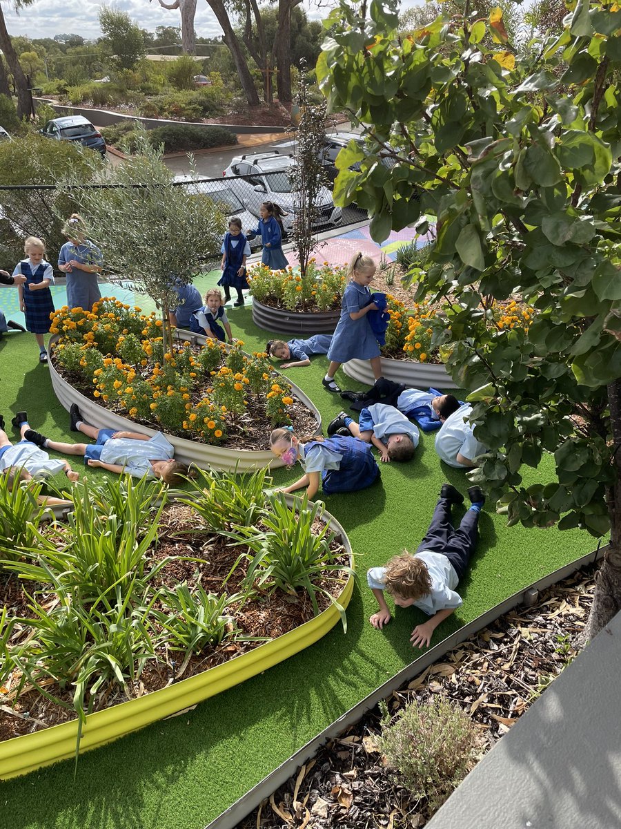 St Luke's Catholic PS - Woodvale WA tweet media