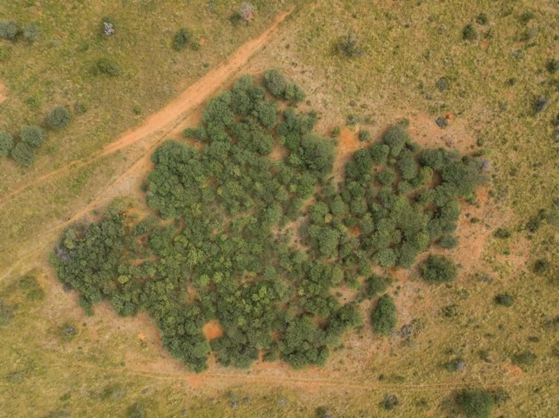 nbignamibia's tweet photo. Calling for all Namibian SMEs interested in Bush Biomass to participate in our upcoming engagement meeting. More details on our website: https://t.co/LiVKJLkcLM

📸©GIZ BCBU
#biomass#opportunity#engagement#smes#18may2022#registernow https://t.co/ebprWJFx4n