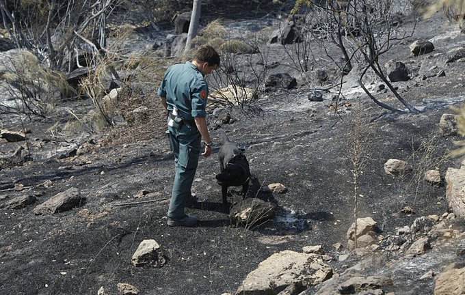 guardiacivil's tweet image. Se acerca el verano y grandes hectáreas de monte son pasto de las llamas como consecuencias de acciones temerarias.  

Aporta tu granito para que esto no ocurra. 

#Colabora con la @guardiacivil #SEPRONA 📲#062