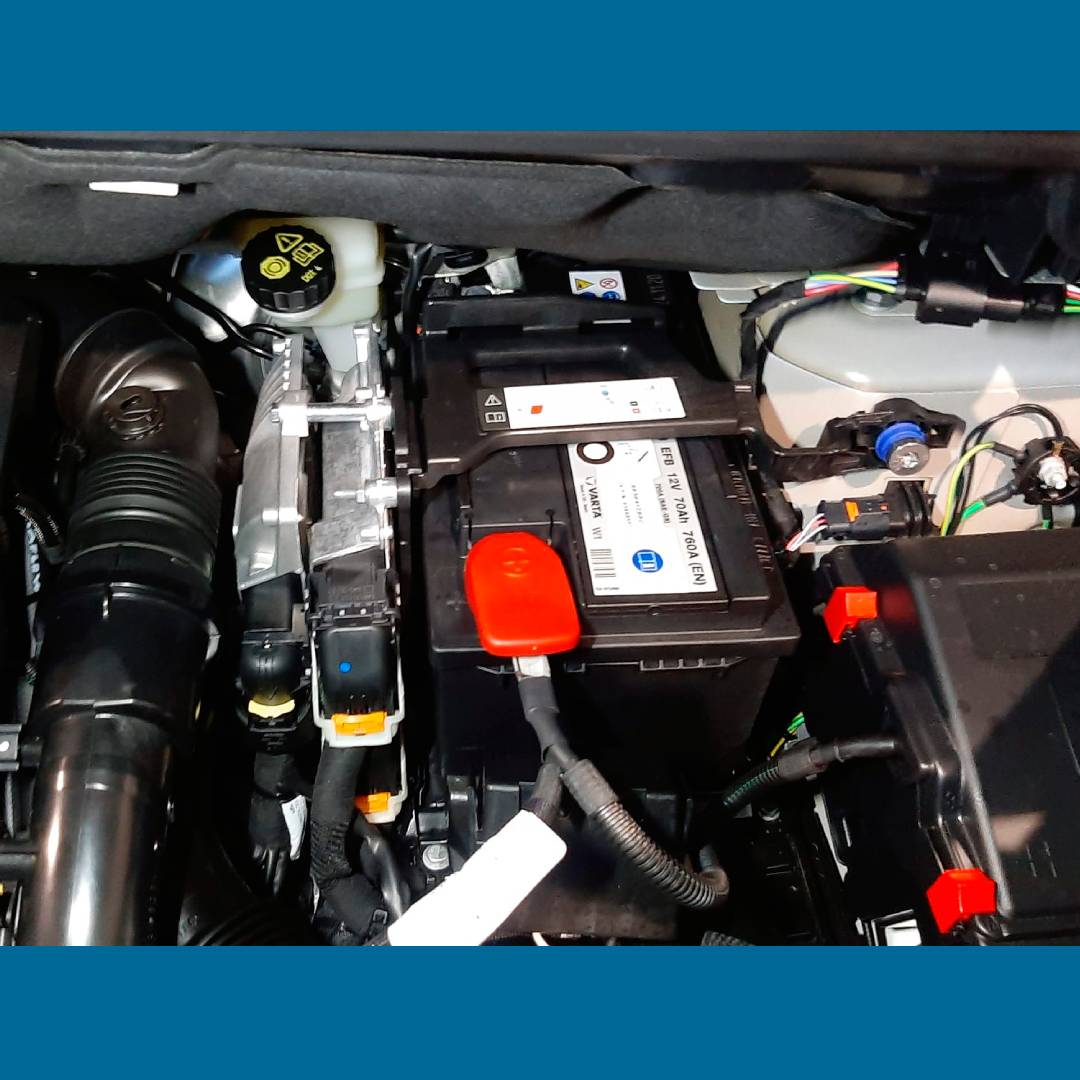 Astrave_oficial's tweet photo. ¡Buenos días!

Hoy os mostramos el excelente trabajo de @LrAutogas en uno de sus talleres, que ha instalado un equipo #GLP en esta Peugeot Rifter: 

▶ Motor de inyección directa 
▶ HN05, 1.2 
▶ 3 cilindros 
▶ 81KW
 
¡Muy 🔝!

#RedASTRAVE #GLP #Autogas #etiquetaECO #peugeot https://t.co/Zkc9R5g9fu
