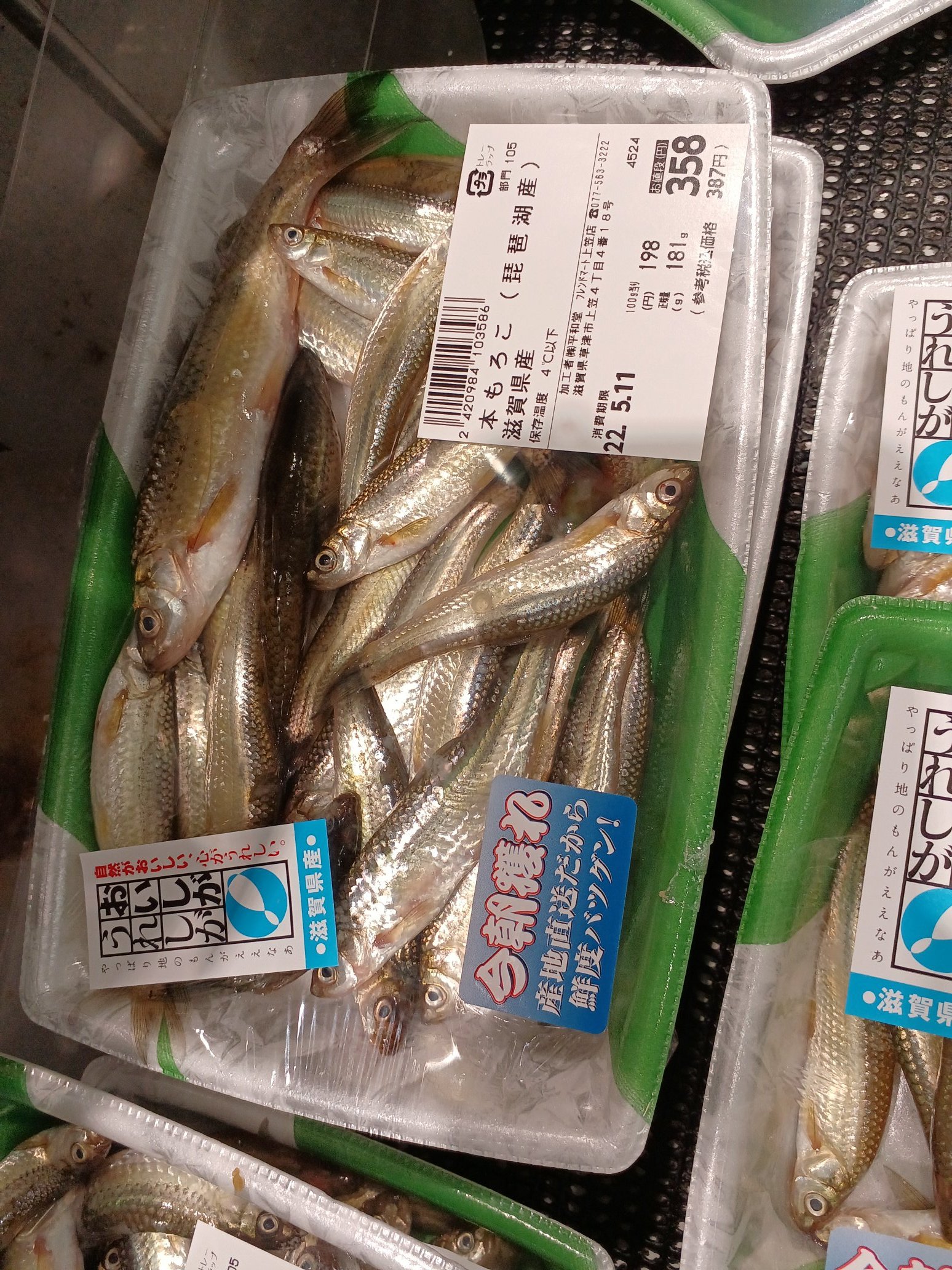 Goe 滋賀県のスーパーでスゴモロコとホンモロコ両方売ってました ホントに美味しいの スゴモロコ ホンモロコ T Co L9xntryedc Twitter