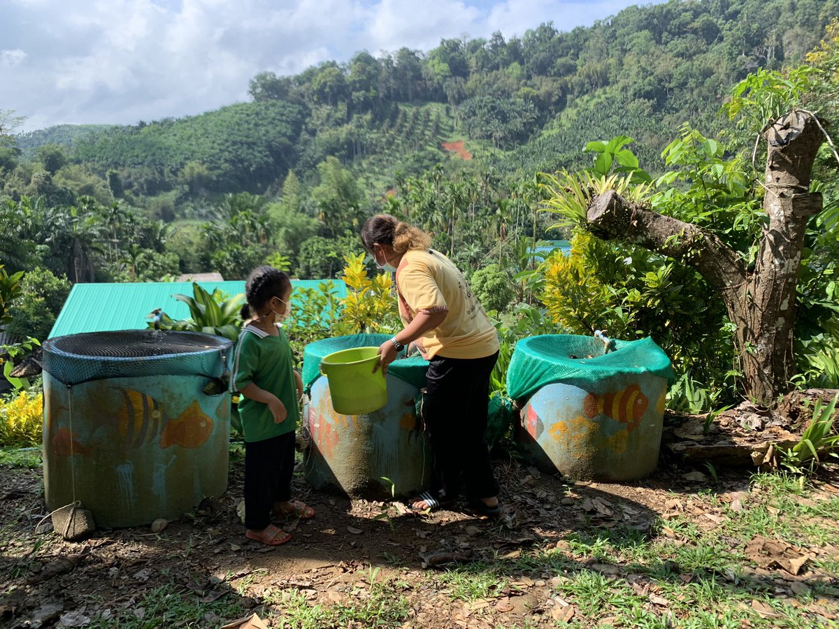 tcdf_tweet's tweet photo. TCDF kids have gotten the opportunity to practice life skills that they will be using on a daily basis, things such as buttoning up shirts, counting, collecting eggs and much more. #versoschool #education #skills #tcdf https://t.co/7sZO6zUyqZ