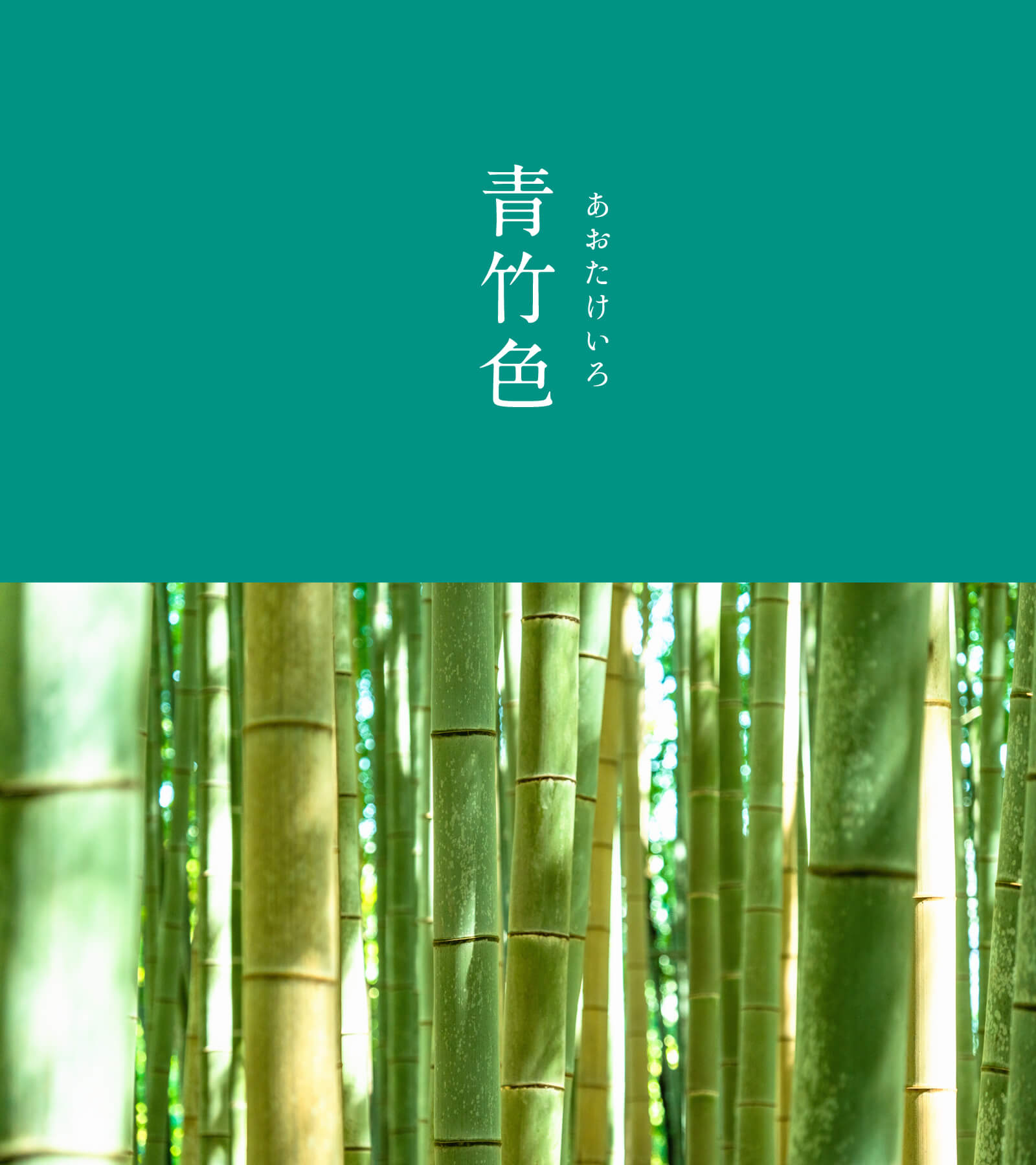 暦生活 こよみせいかつ 10周年 青竹色 あおたけいろ にっぽんのいろ 明るく 青みが強い緑色です 竹 をモチーフとした色の中でも代表的な色合い 古くから日本に自生した竹は 生命力あふれる存在として人々の暮らしに身近なものでした