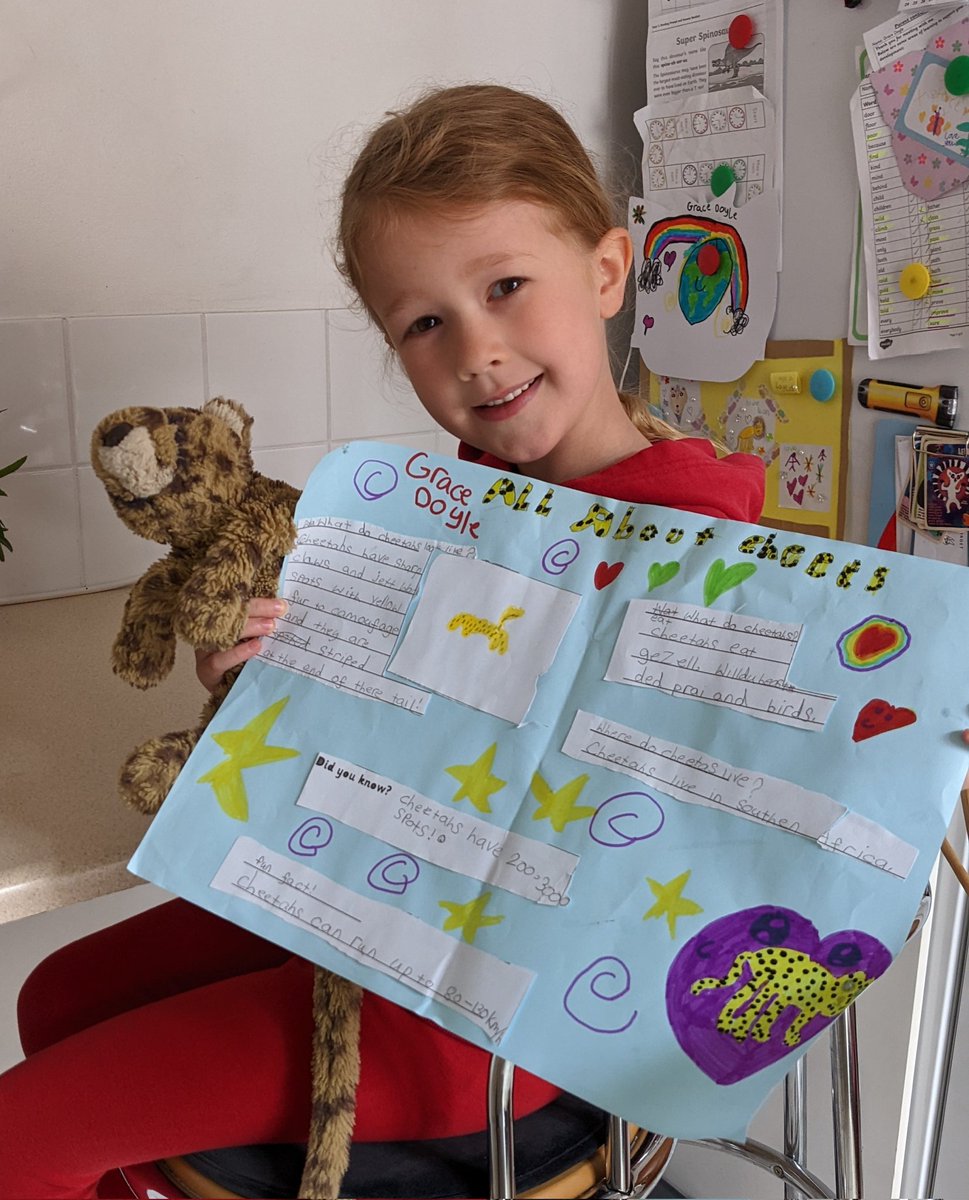 frankdoylezw's tweet photo. @SteveBackshall This little kid loves cheetahs and loves your show (D60)! This is her cheetah project that she wanted you to see. A big hi from Grace (age 6 3/4) 🐆🐆 https://t.co/fN9ttLjhpP