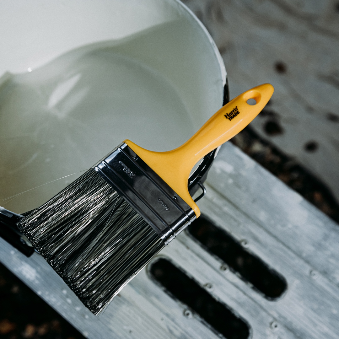 Harris_Trade's tweet photo. Helping you #GetItDone on those exterior jobs ๐ชโ๏ธ๐
#ToolsOfTheTrade #Masonry #HarrisTrade #Tradie #PainterDecorator https://t.co/jhp23VefSV