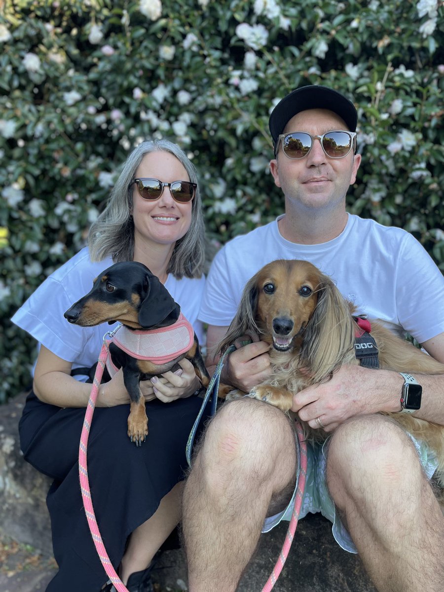 nichall17's tweet photo. @TheAngry_Wombat Another two for the #sausagedogsofdoe https://t.co/1t3oNXaeuE