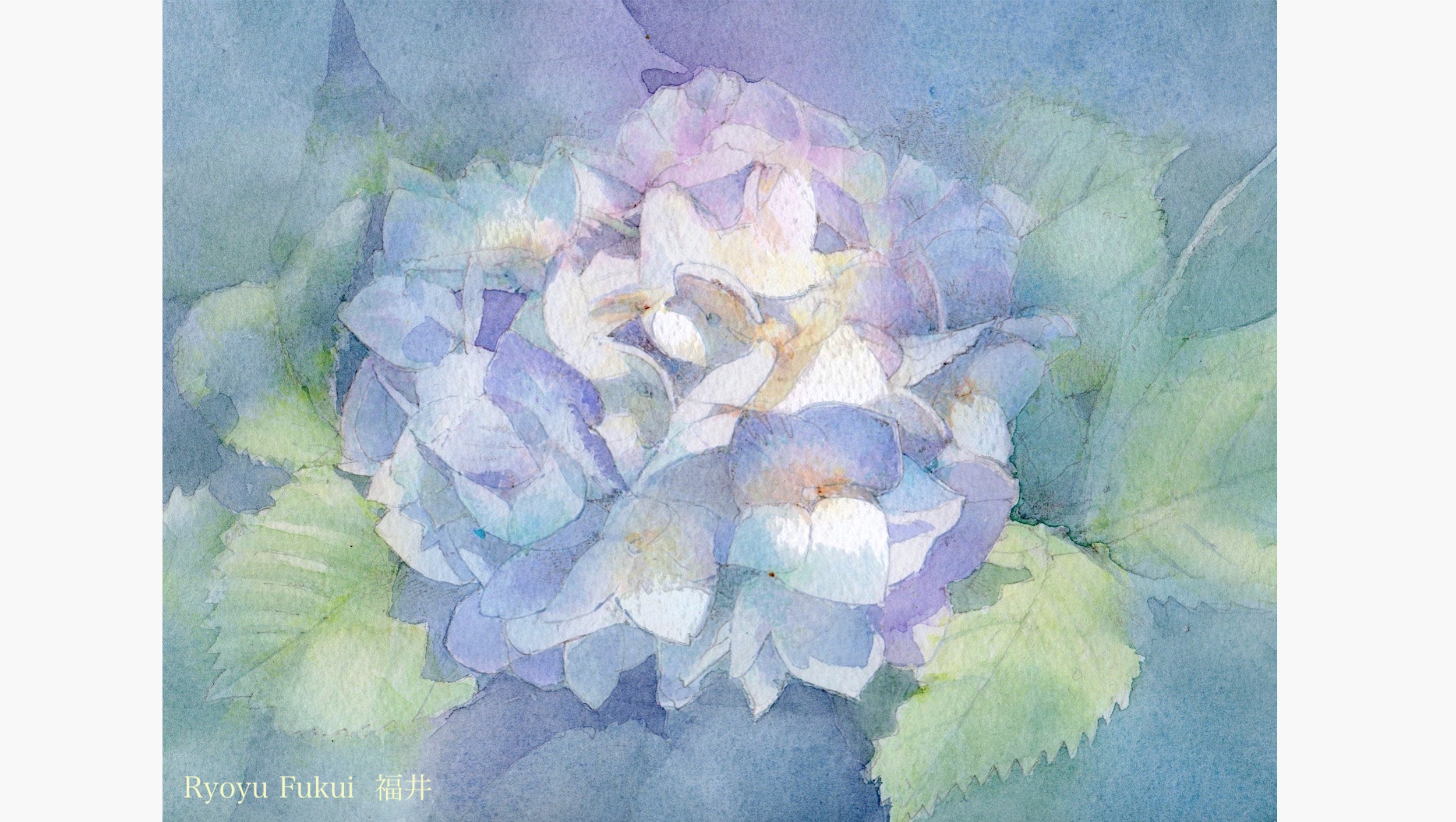 水彩画 692＊紫陽花咲く池端 原画 見た時