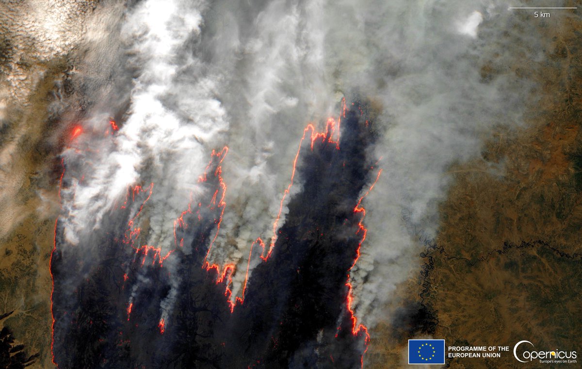 Plusieurs incendies de forêt capturés par le satellite Sentinel 2 en #Sibérie orientale hier mardi. 