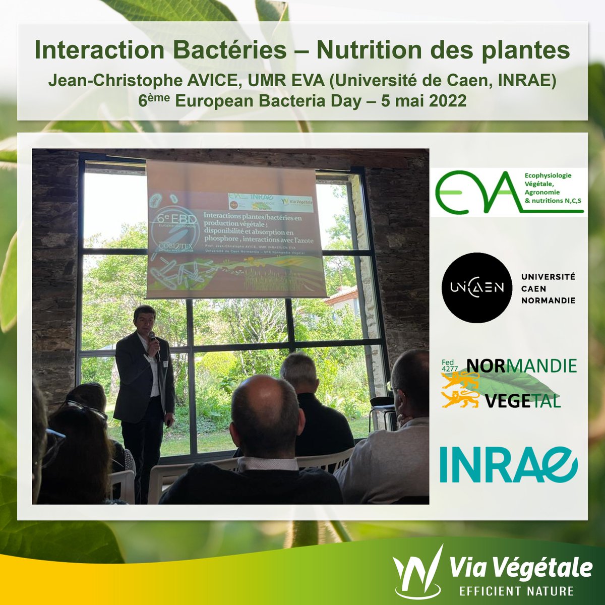 Via Vegetale tweet media