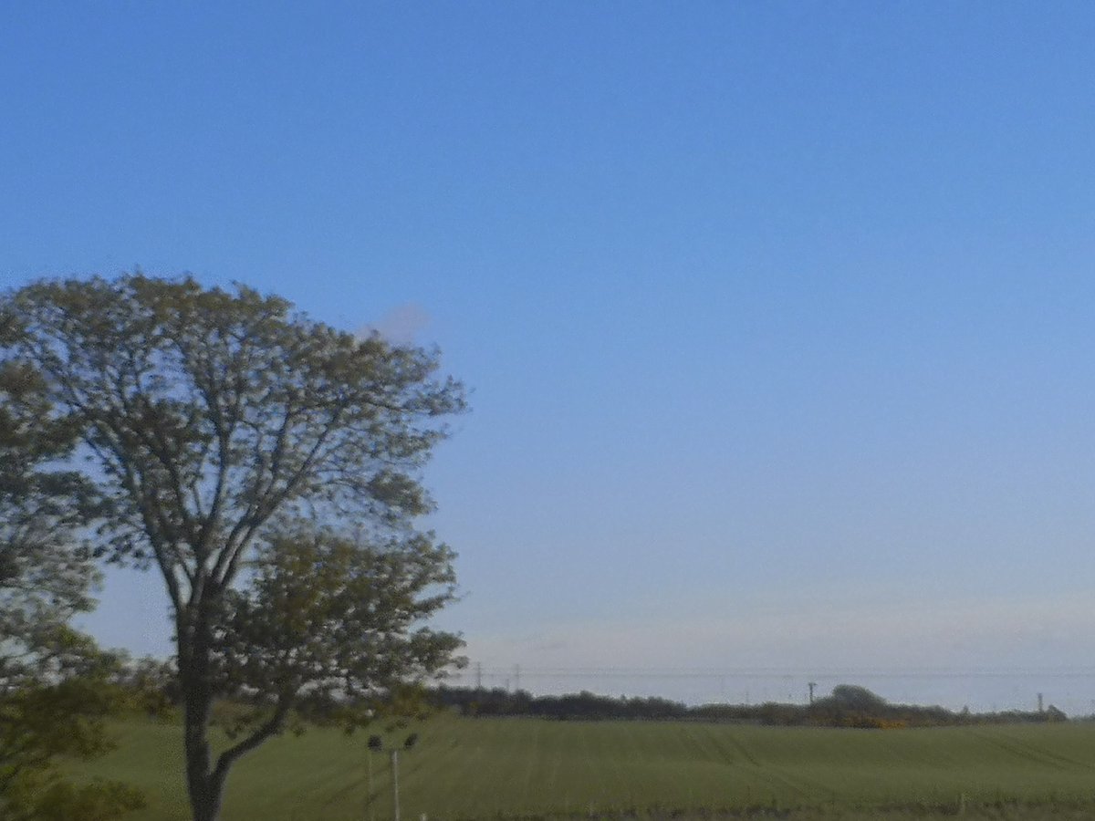 Tom Palmer tweet media