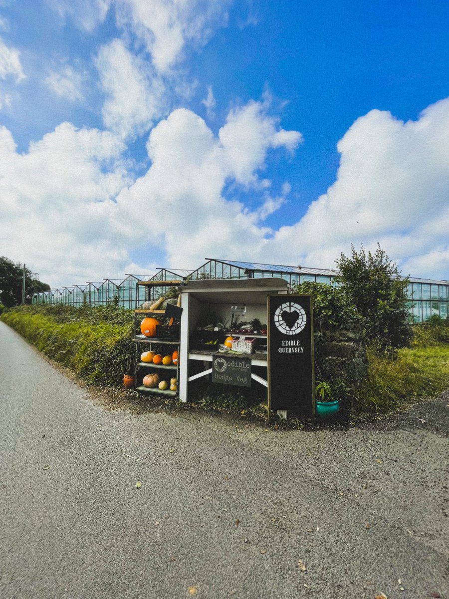 Freshly stocked hedge veg stall 🧅🥕🌱 at Edible Guernsey