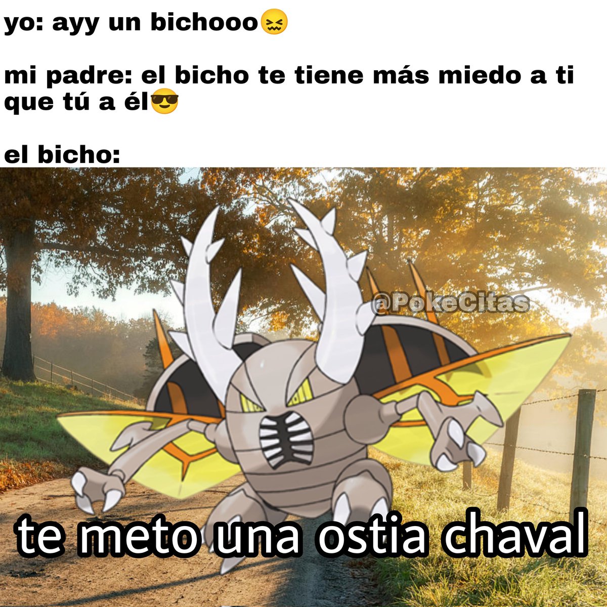 Memes Pokémon (@pokecitas) on Twitter photo 