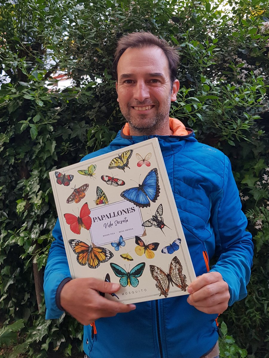 RogerVila_Lab's tweet photo. Feliç que es publiqui el llibre Papallones - Vida Secreta, que he fet juntament amb la il·lustradora Rena Ortega i l'editorial Mosquito Books. Espero que serveixi per a donar a conèixer aquests meravellosos insectes a les noves generacions.
 
@IBE_Barcelona https://t.co/tTFmCV10Xd