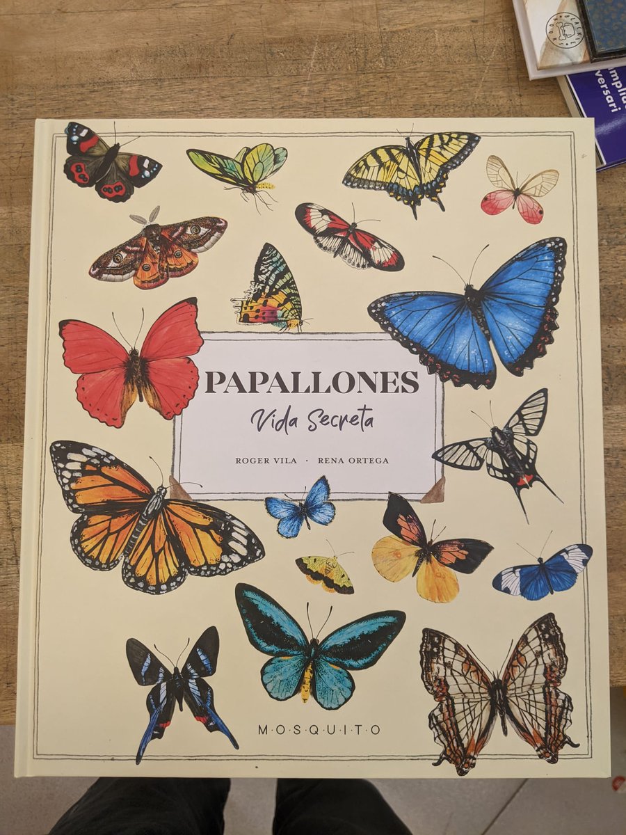 RogerVila_Lab's tweet photo. Feliç que es publiqui el llibre Papallones - Vida Secreta, que he fet juntament amb la il·lustradora Rena Ortega i l'editorial Mosquito Books. Espero que serveixi per a donar a conèixer aquests meravellosos insectes a les noves generacions.
 
@IBE_Barcelona https://t.co/tTFmCV10Xd