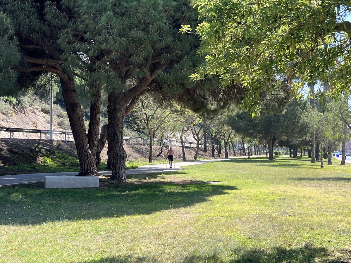 IslantillaDxts's tweet photo. Buenos días, en @Islantilla tenemos una espléndida mañana para hacer deporte. La Avda de Riofrío tiene una magnífica zona ajardinada para practicar senderismo, carrera, Nordic Walking,… Ya sea por entrenamiento, Ocio o Salud.

¡A disfrutar del Deporte!

#ActívateEnIslantilla https://t.co/mOkOtHbMct
