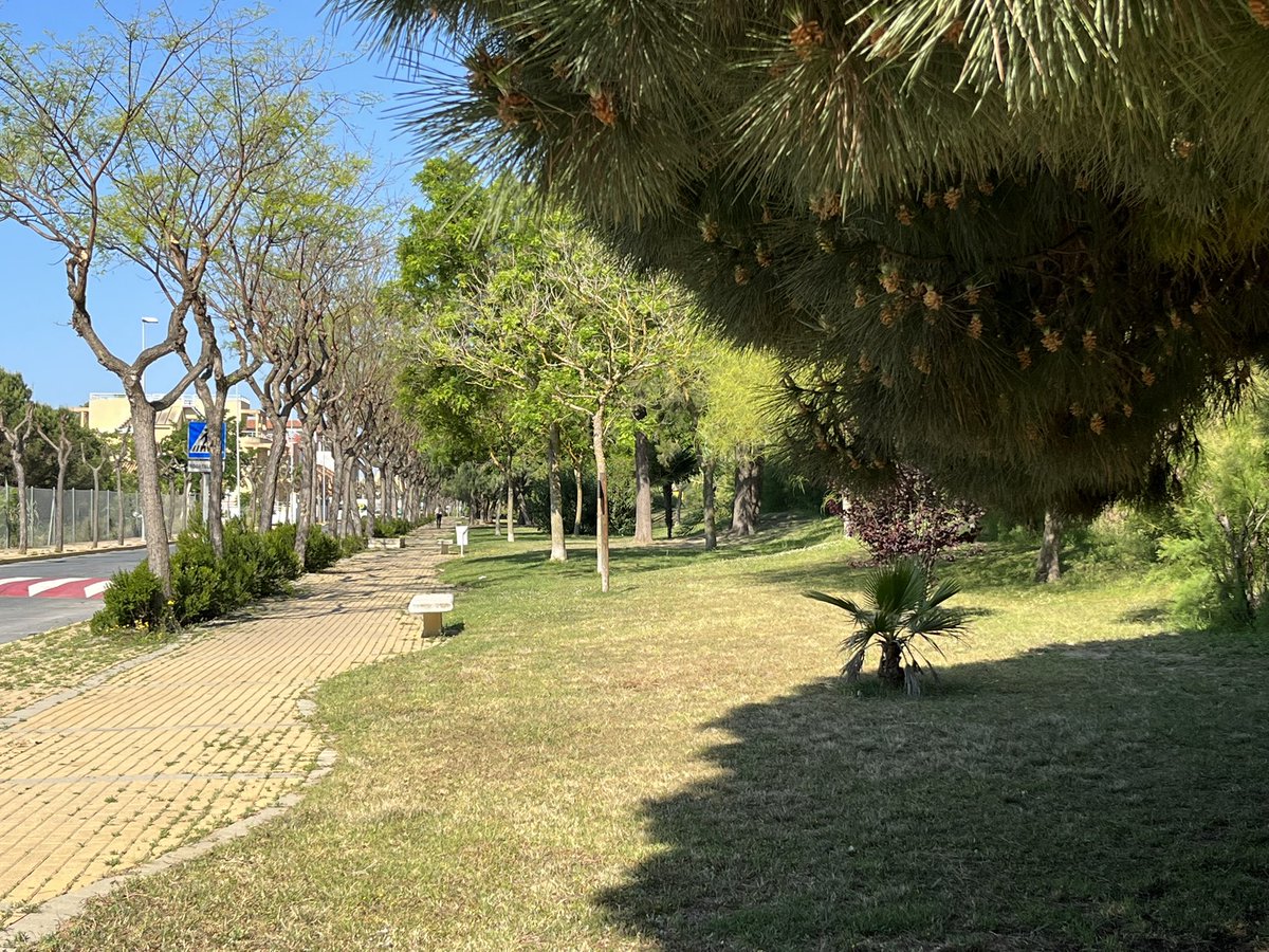 IslantillaDxts's tweet photo. Buenos días, en @Islantilla tenemos una espléndida mañana para hacer deporte. La Avda de Riofrío tiene una magnífica zona ajardinada para practicar senderismo, carrera, Nordic Walking,… Ya sea por entrenamiento, Ocio o Salud.

¡A disfrutar del Deporte!

#ActívateEnIslantilla https://t.co/mOkOtHbMct