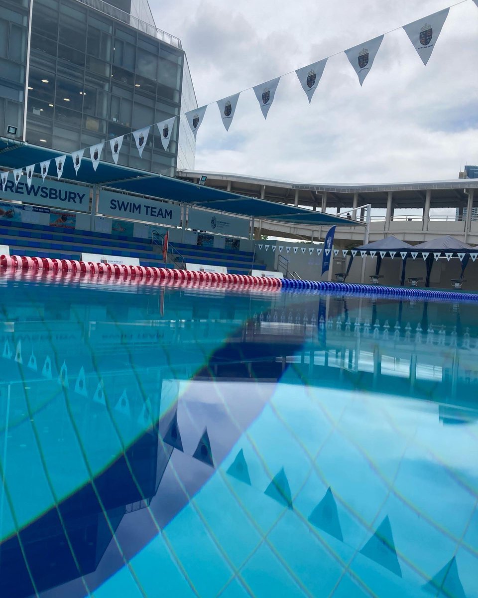 SHB Swimming tweet media