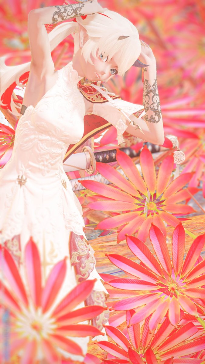 Ilias_PSO2's tweet image. VEのコモンメンバーになりました。
#PSO2NGS
#PSO2NGS_SS 
#メンテの日なのでssを貼る