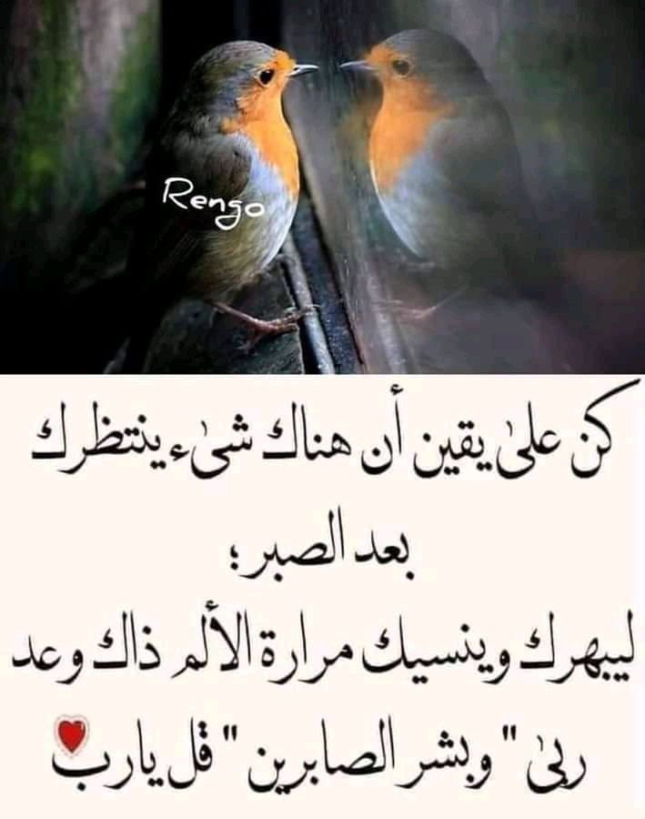 BashryBshyr's tweet photo. https://t.co/X43VsvlfiT