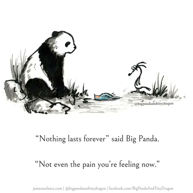 bitcoinpanda69's tweet photo. Anyways time for ya boy to hit the hay

no matter what you're going through rn, fooo loves you (in at least the general, humanitarian sense)

every life has a dozen really tough moments

keep breathing, eating. sleep. hydrate.

It'll be okay. Someday sooner than you think. https://t.co/tuaFYJ6iz4