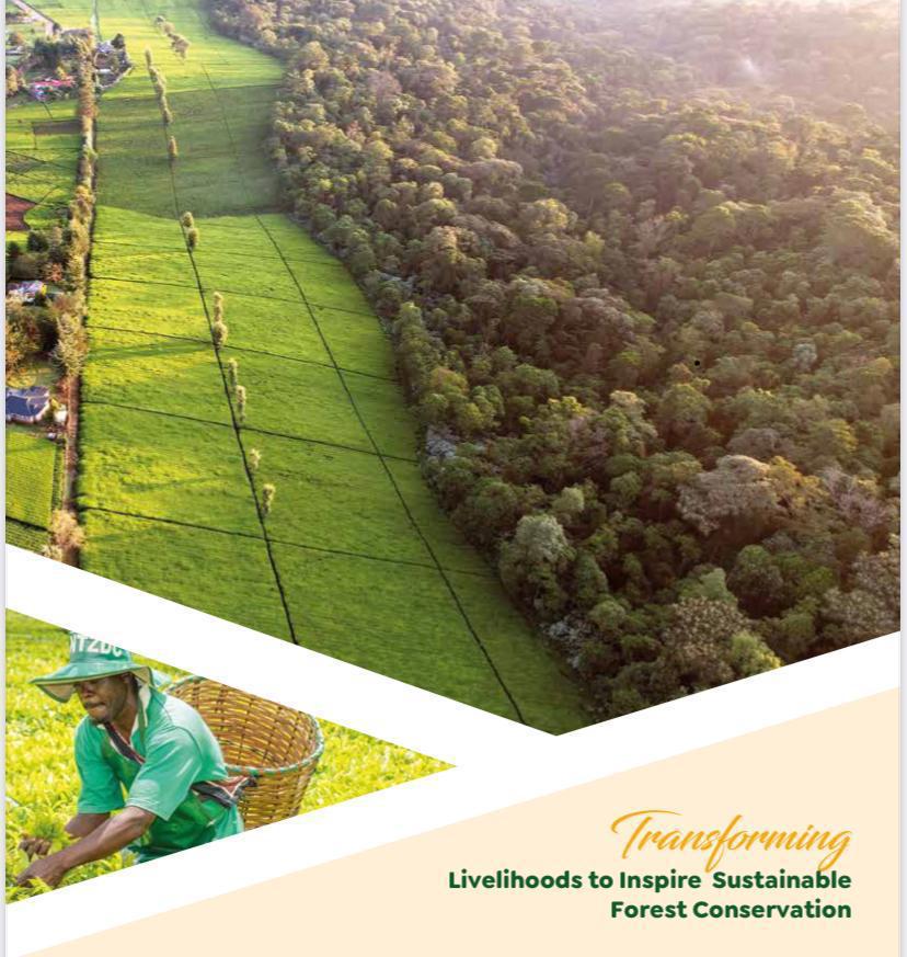 ntvkenya's tweet photo. SP: #GatituteaFactory set to be commissioned today. With its opening, @Teazones will scale-up tea processing and value addition.

https://t.co/GrkL5zLPnR 

#Inspiringconservation
#transforminlivelihoods 
#Gatitufactoryopening 
#ecosystemmanagement
#nyayoazones https://t.co/TrqaJNKFbz