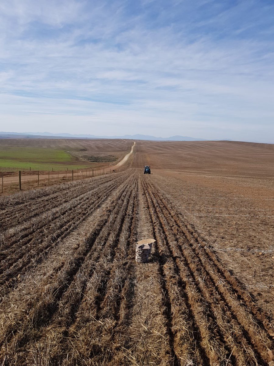 Sabbi_barley's tweet photo. Planting season in full swing https://t.co/mosUWIVLRQ